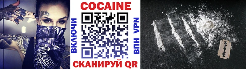 ссылка на мегу маркетплейс  Гурьевск  COCAIN FishScale 