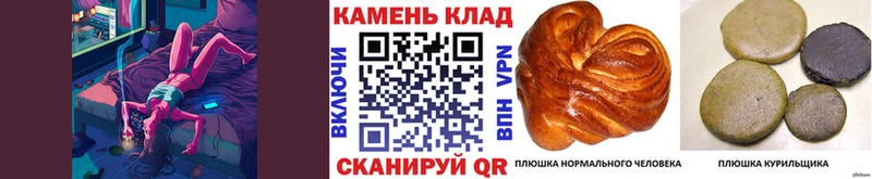 ГАШ хэш  где продают наркотики  Гурьевск 