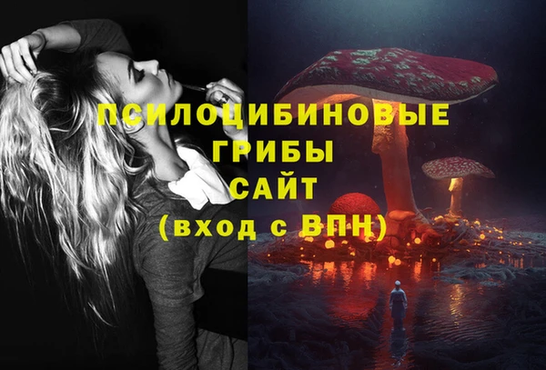 а пвп мука Алзамай