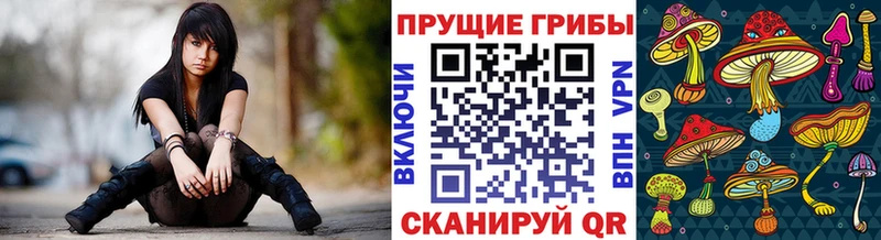 Галлюциногенные грибы GOLDEN TEACHER  где купить наркоту  Гурьевск 